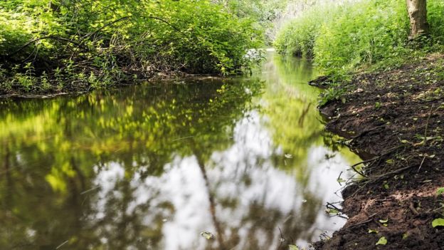 Lei também determina preservação de áreas ecologicamente sensíveis, como nascentes e margens de rios